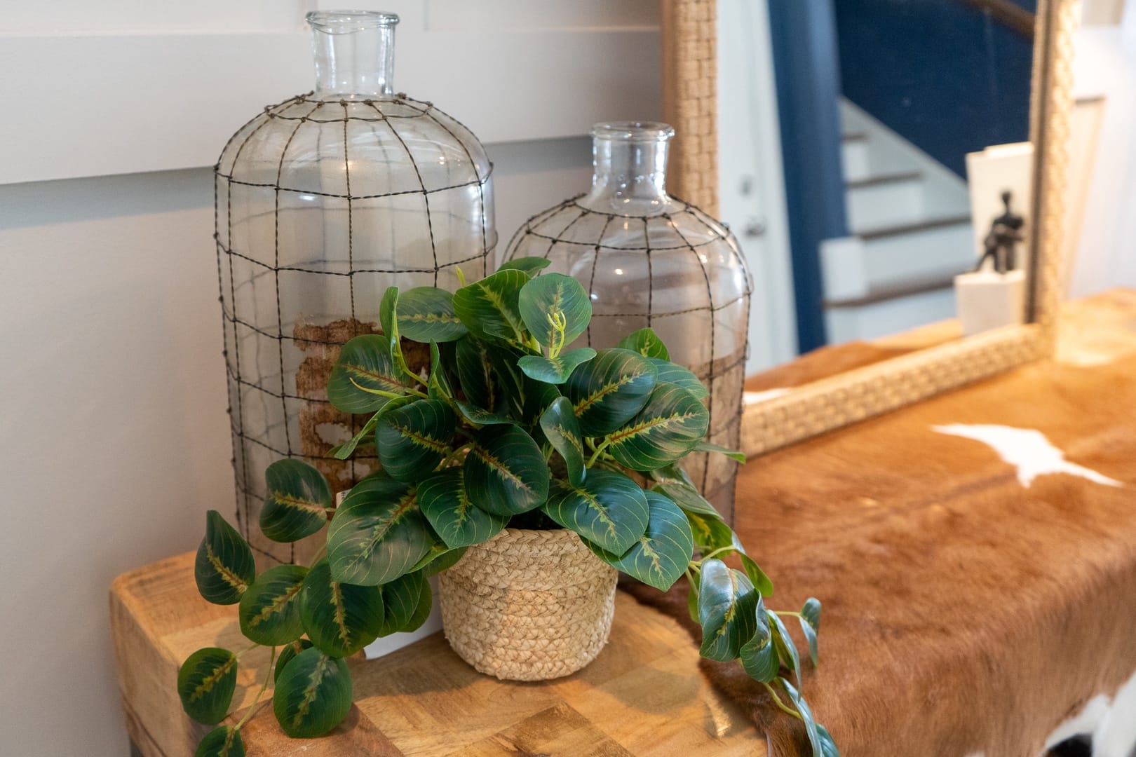 Potted plant and decorative bottles.