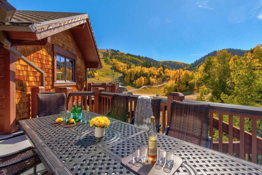 Mountain cabin deck with table.