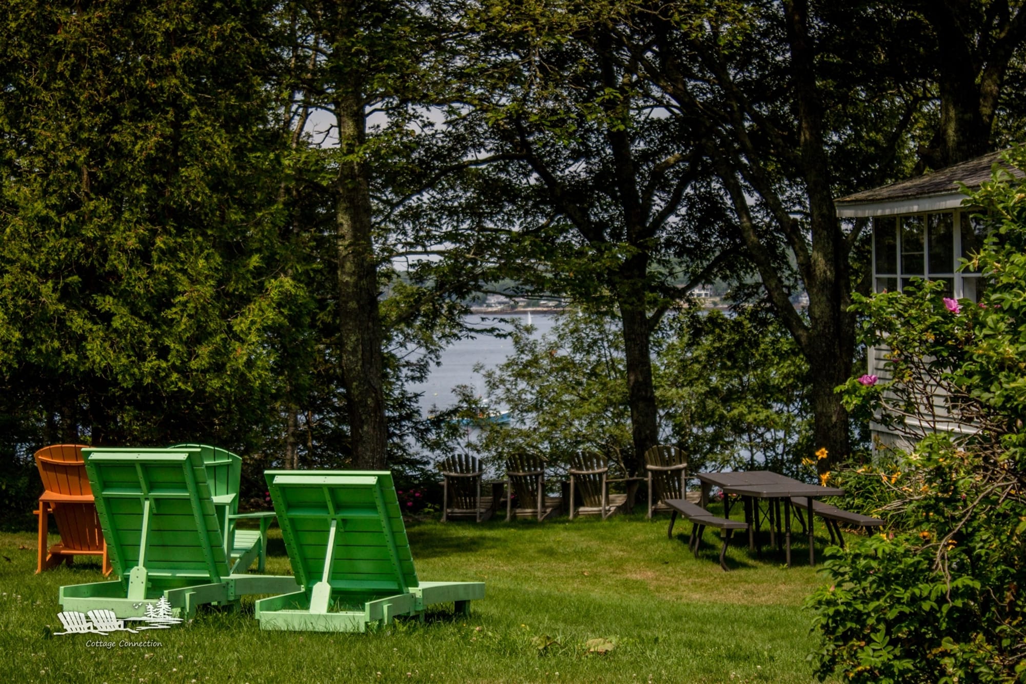 Lawn chairs overlooking lake through trees.