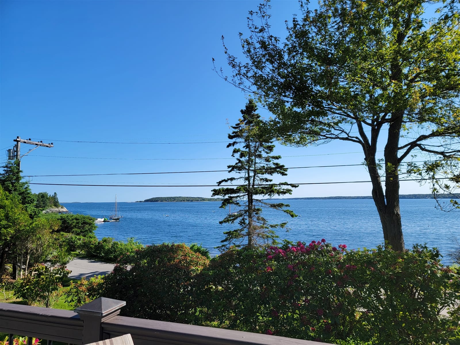 Ocean view with trees and boat.