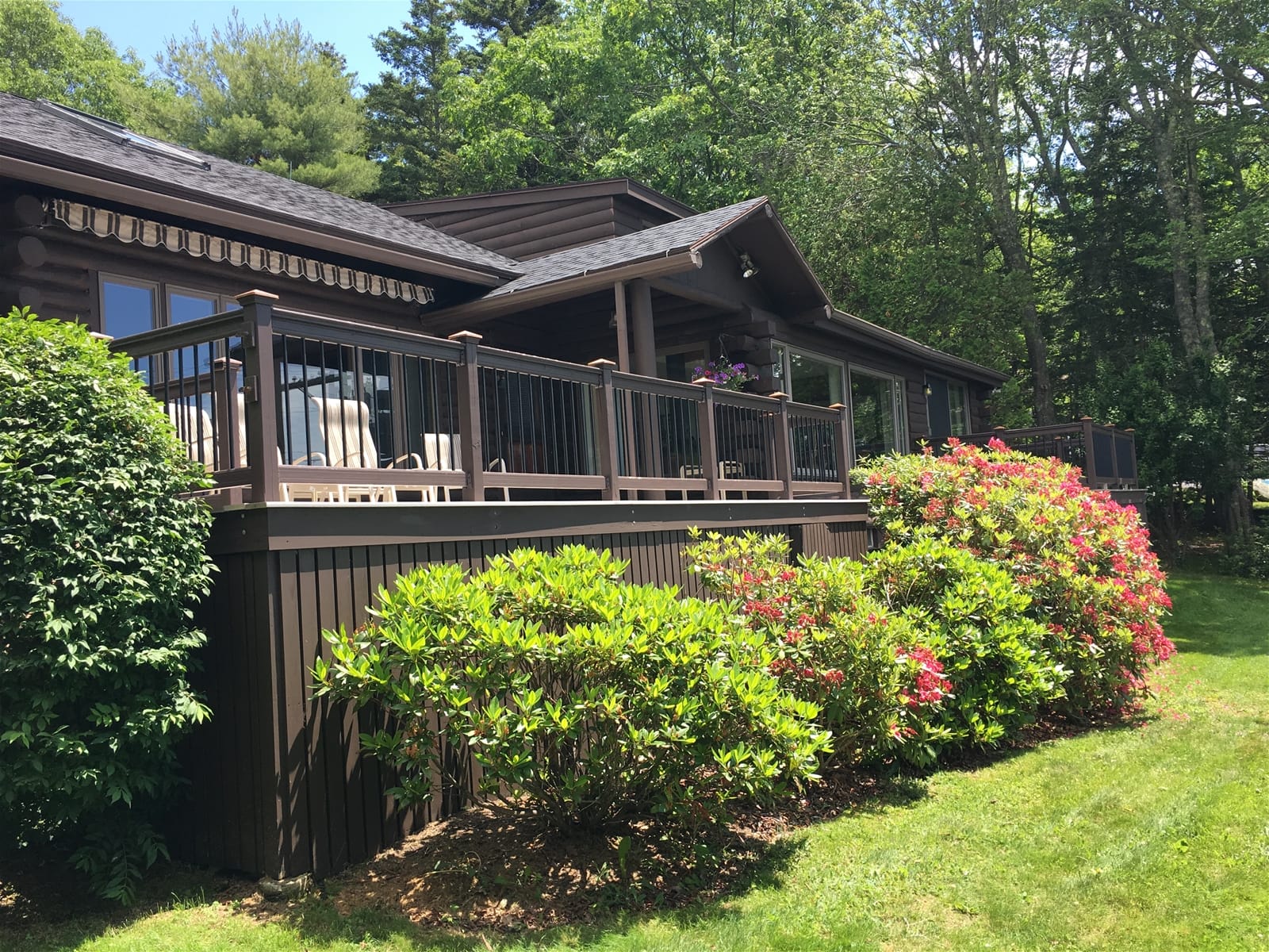 Wooden deck with chairs and bushes.