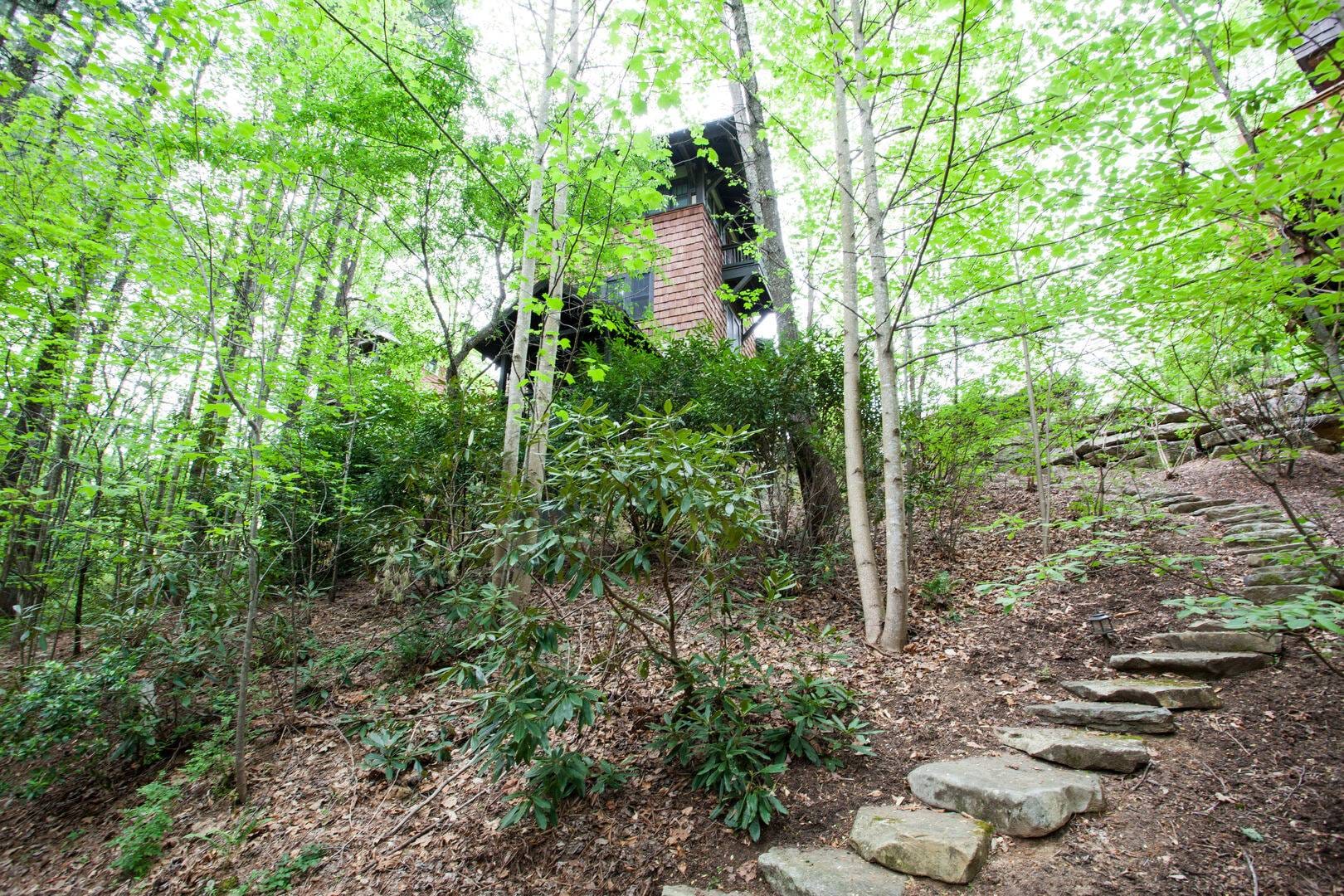 Cabin in woods above stone path.