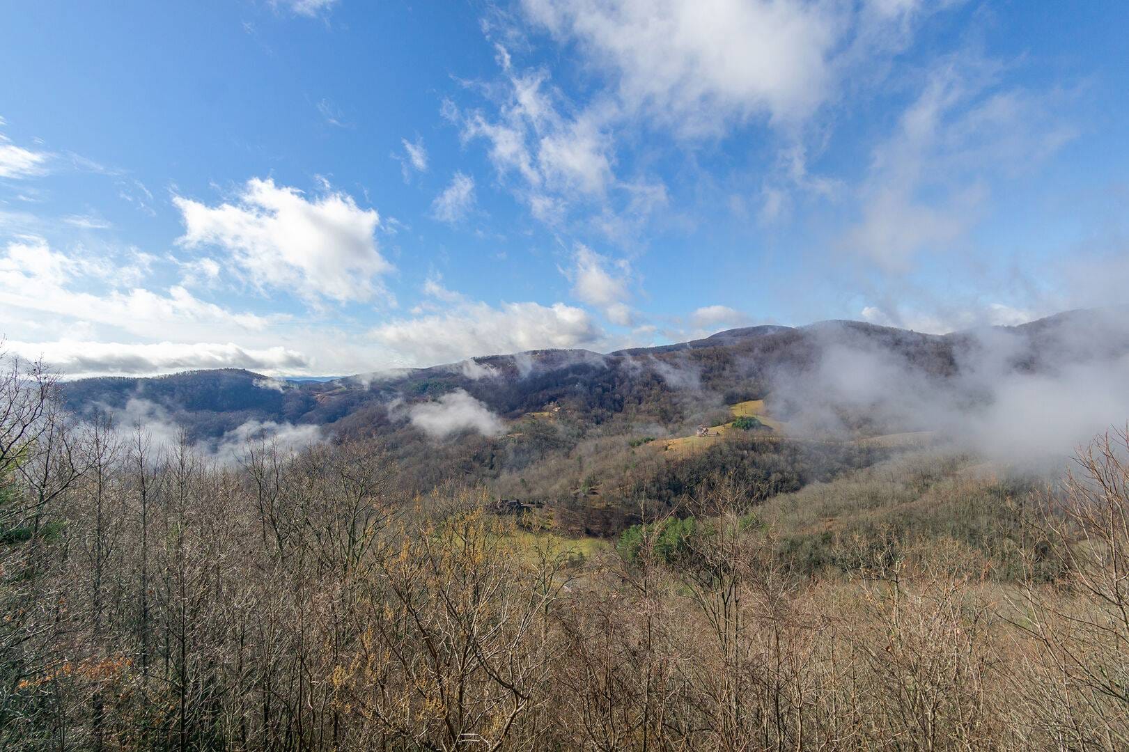 Misty valley with bare trees.