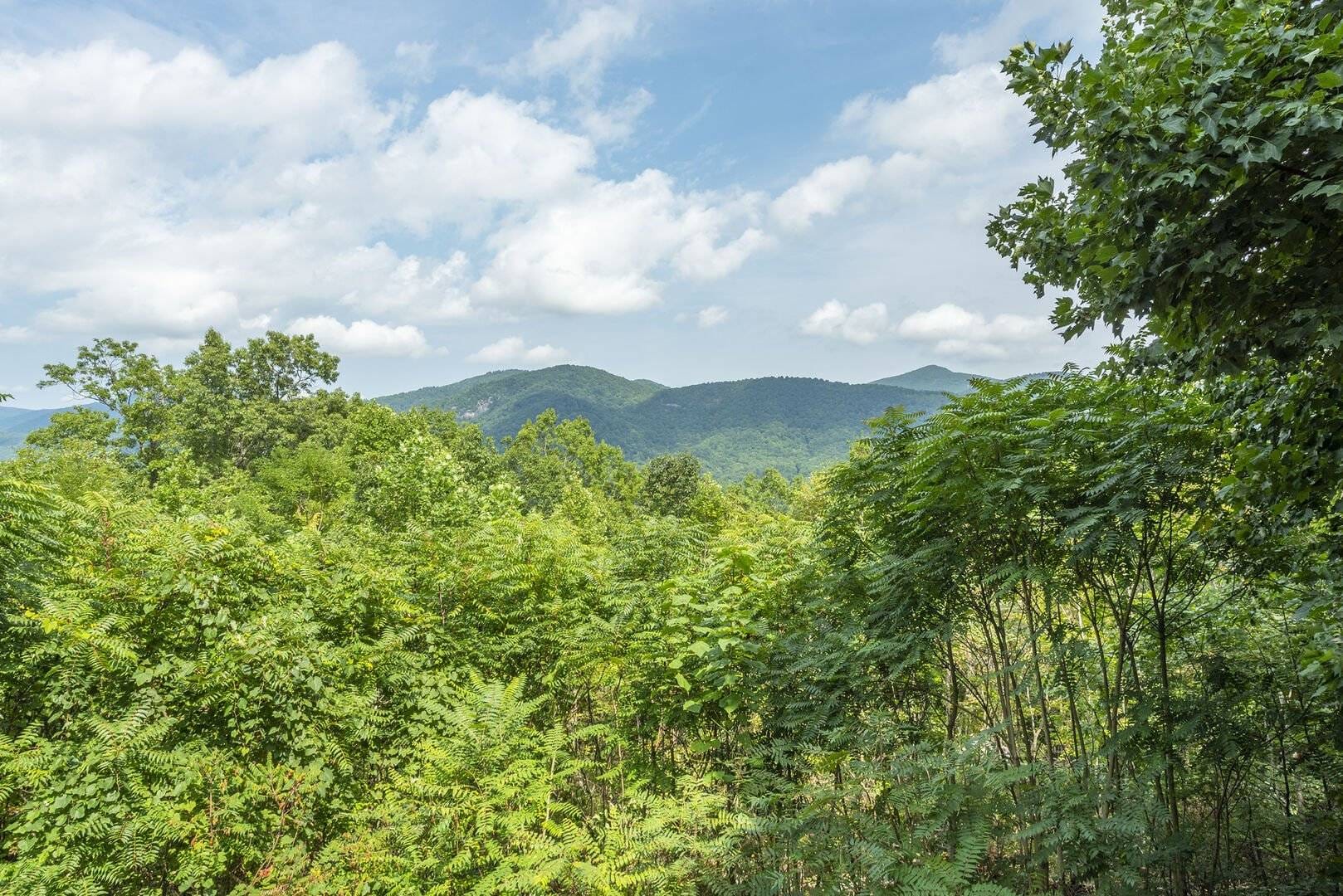 Mountain range with dense green foliage.