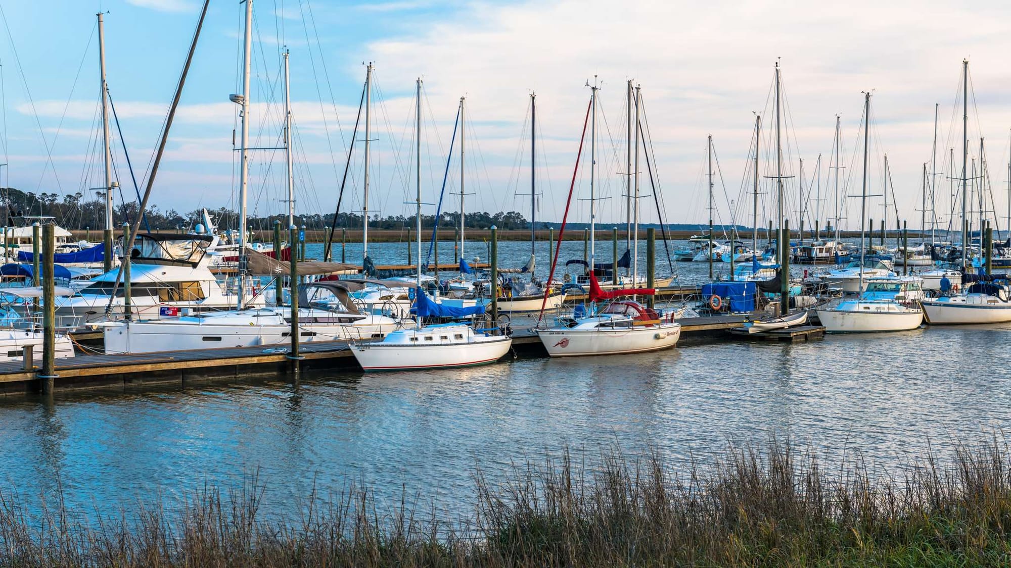 Boats docked at marina pier.