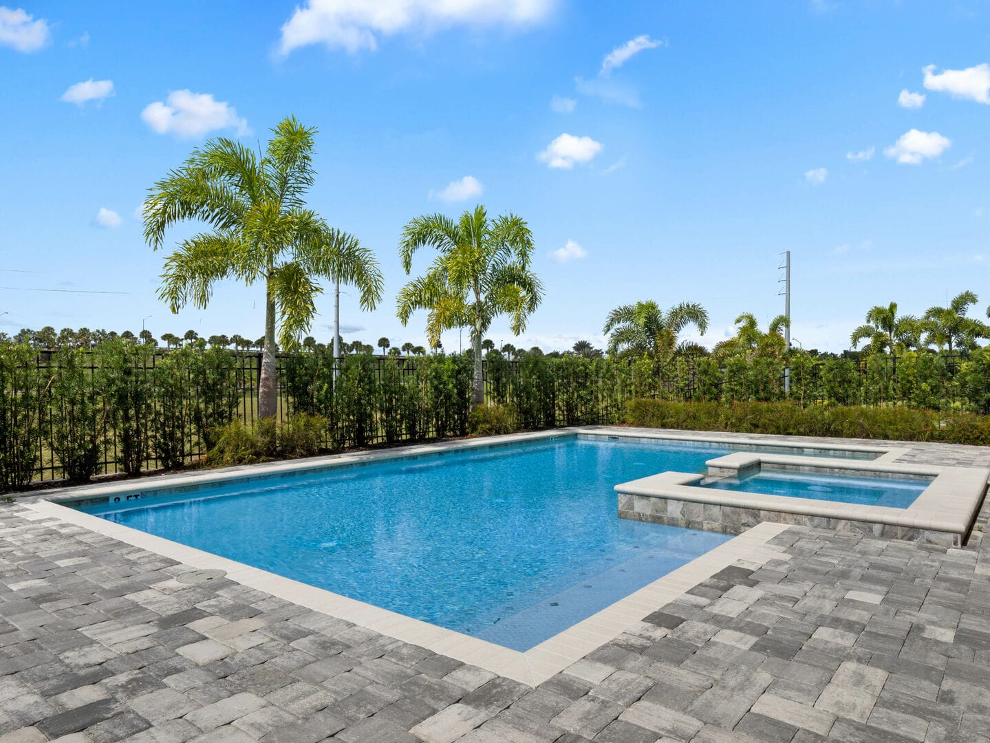 Outdoor pool with palm trees.