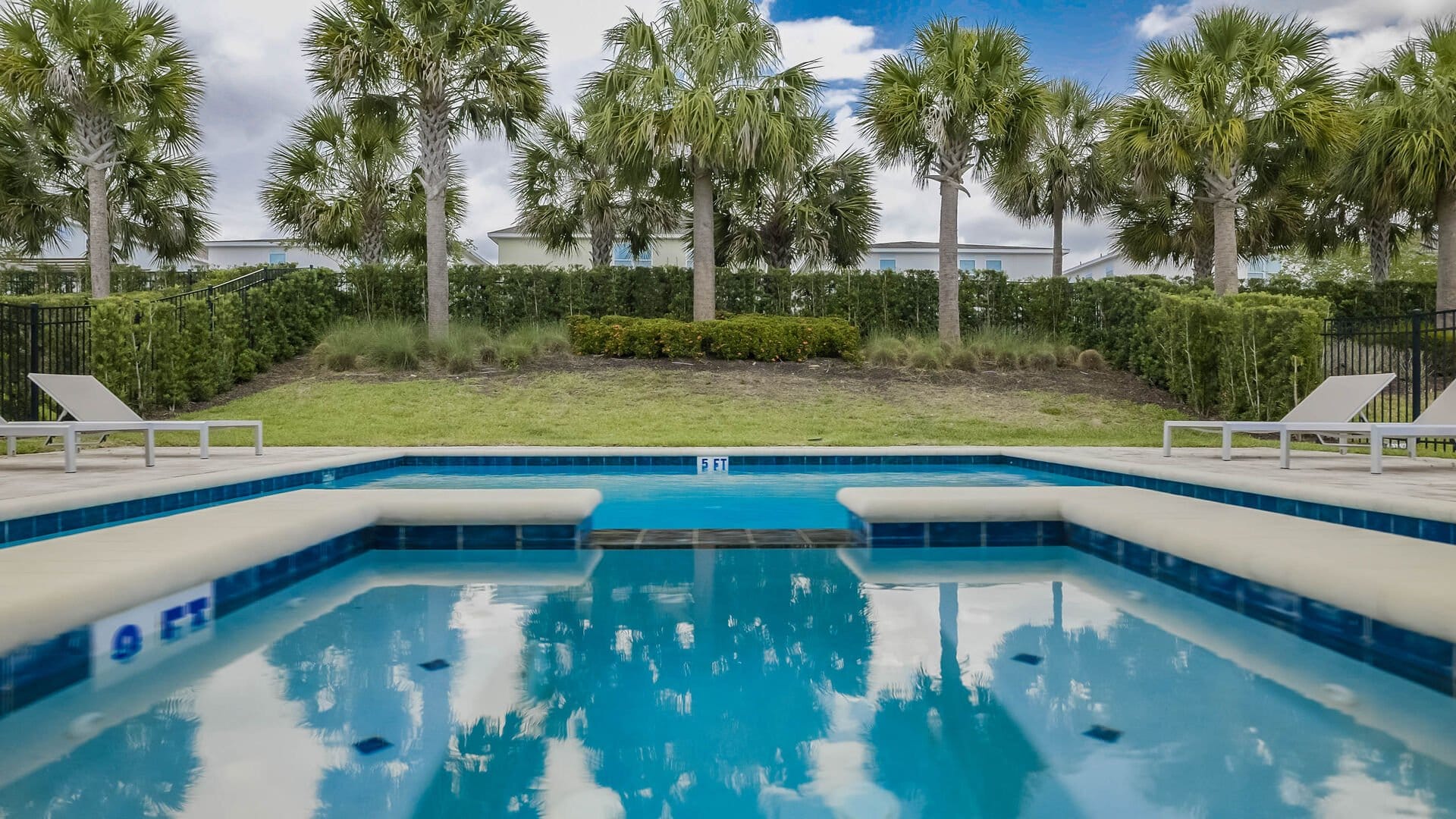 Poolside with palm trees, loungers