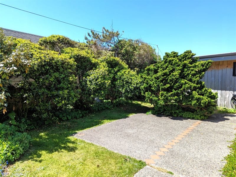 Sunny backyard with lush greenery.