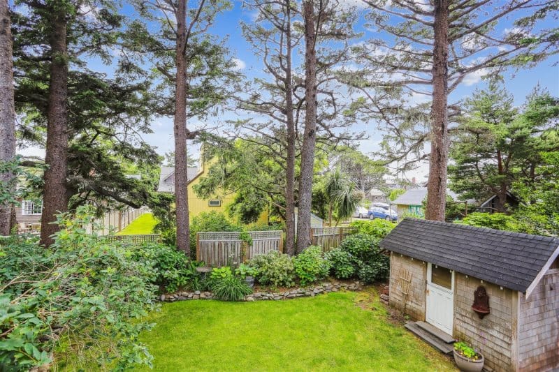 Backyard with shed and trees.