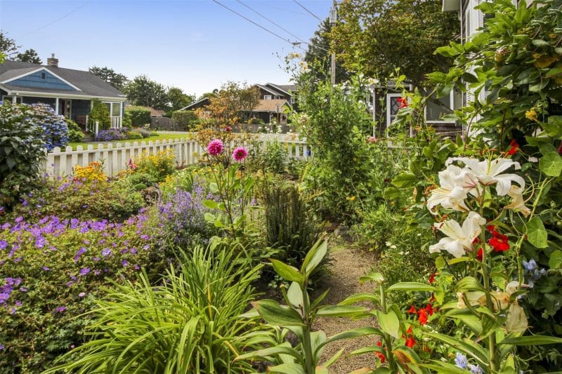 Flower garden with white picket fence.