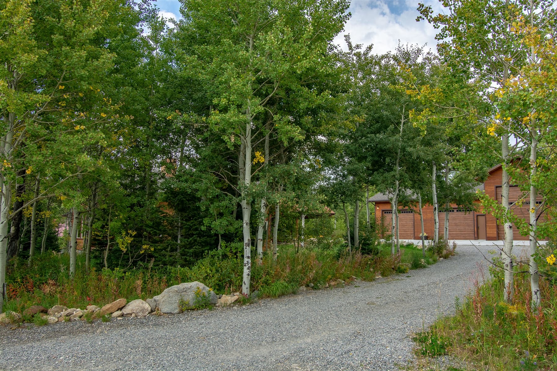 Gravel driveway, trees, and house.