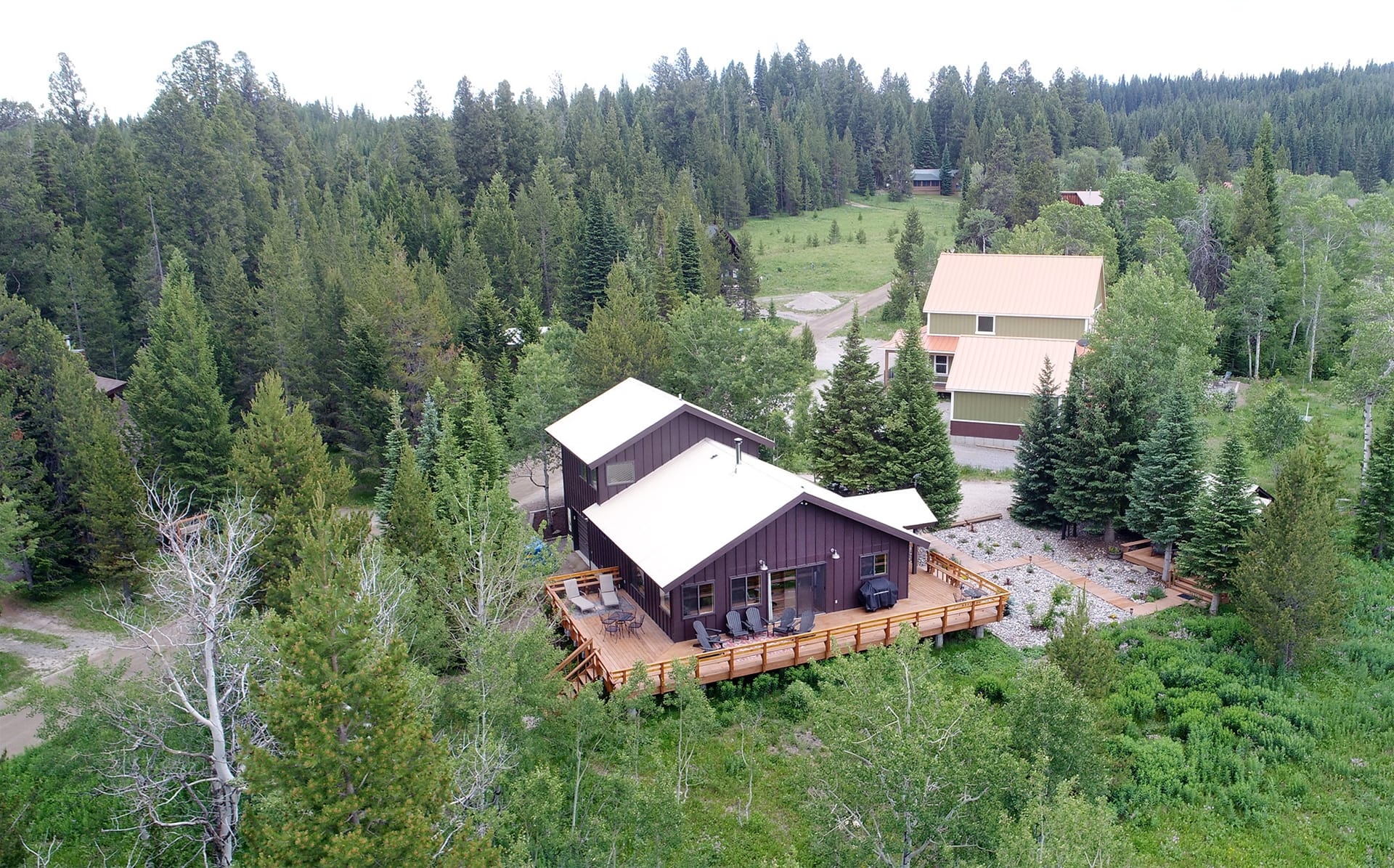 Cabin surrounded by dense forest.