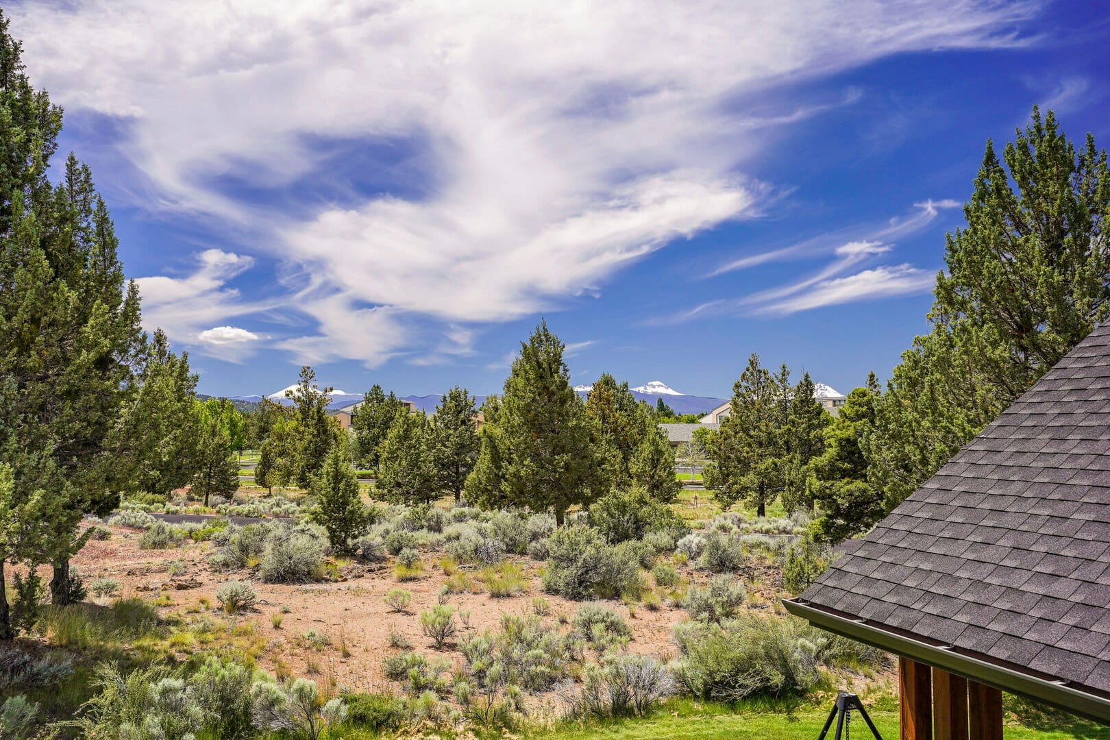 Tree-covered landscape with mountain view.