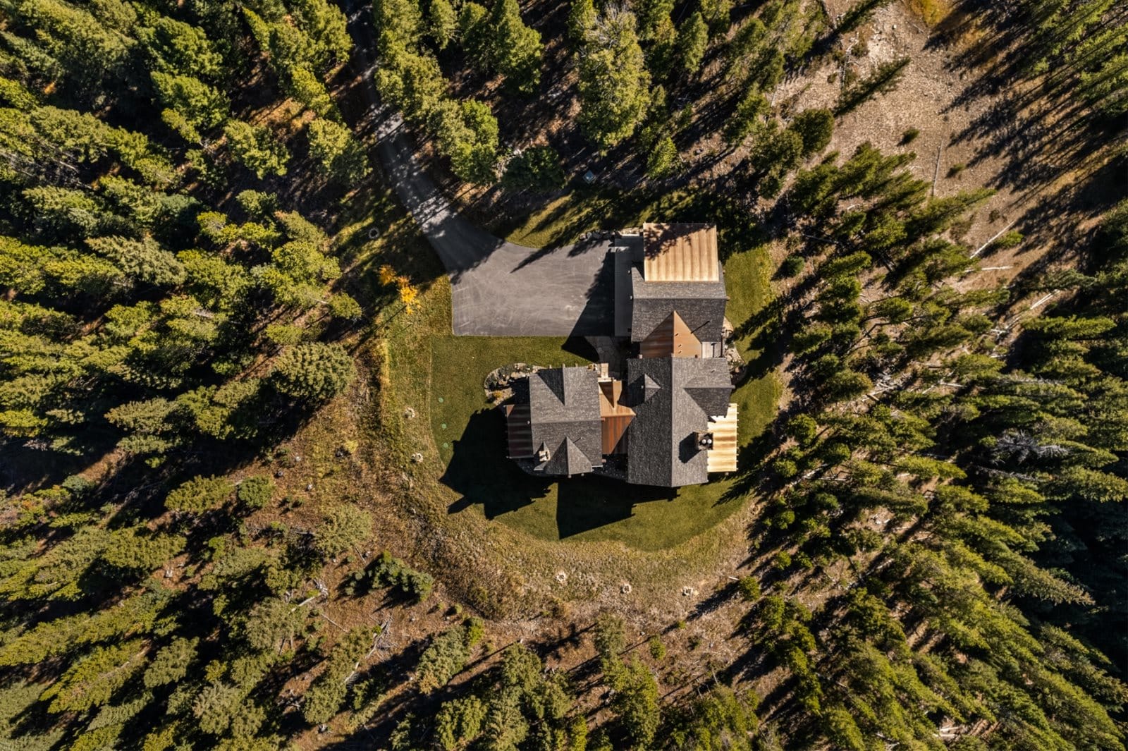 Aerial view of forest house.