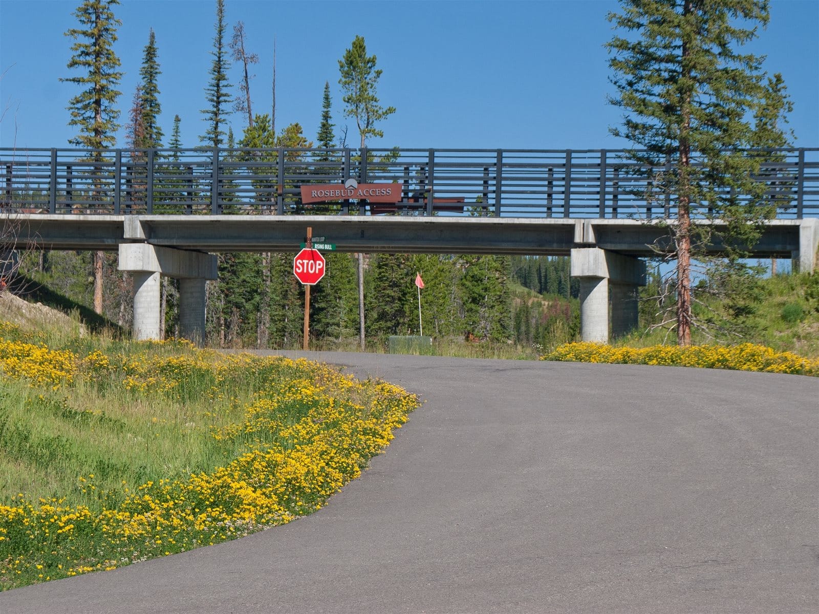 Stop sign on road under bridge.