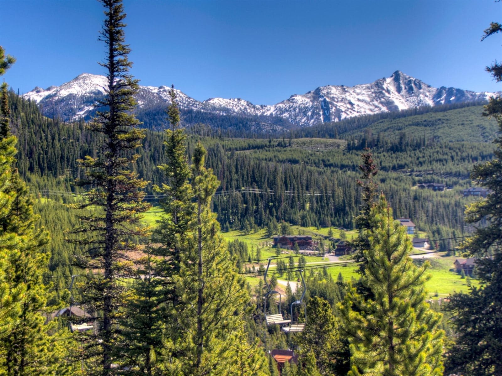 Mountain landscape with trees and houses.