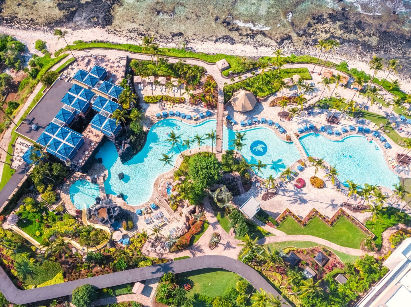 Beachside resort with pools, palm trees.