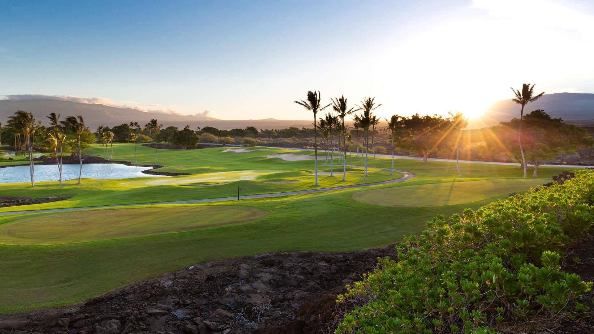 Sunlit golf course with palm trees.