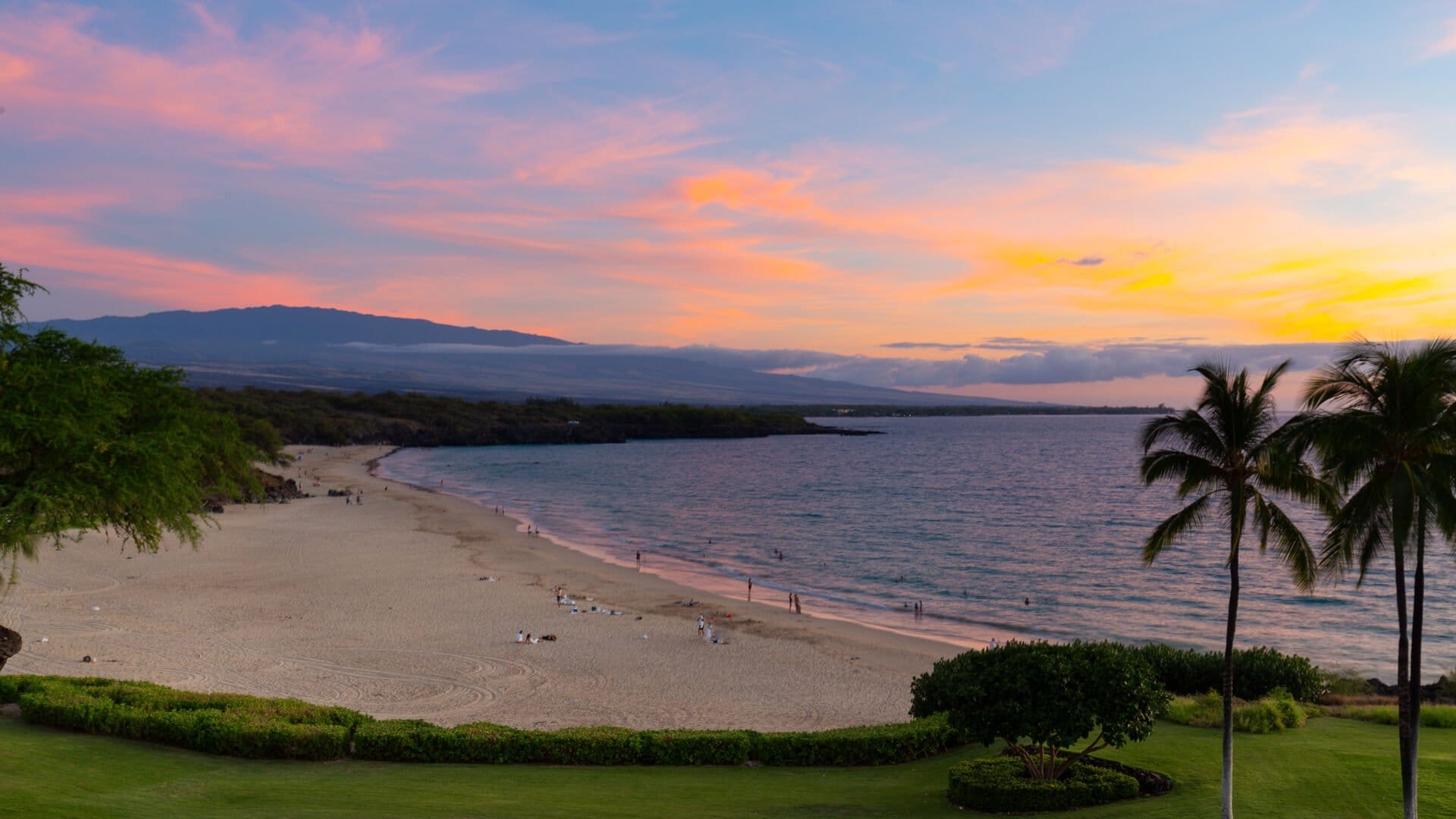 Beach at sunset with palm trees.