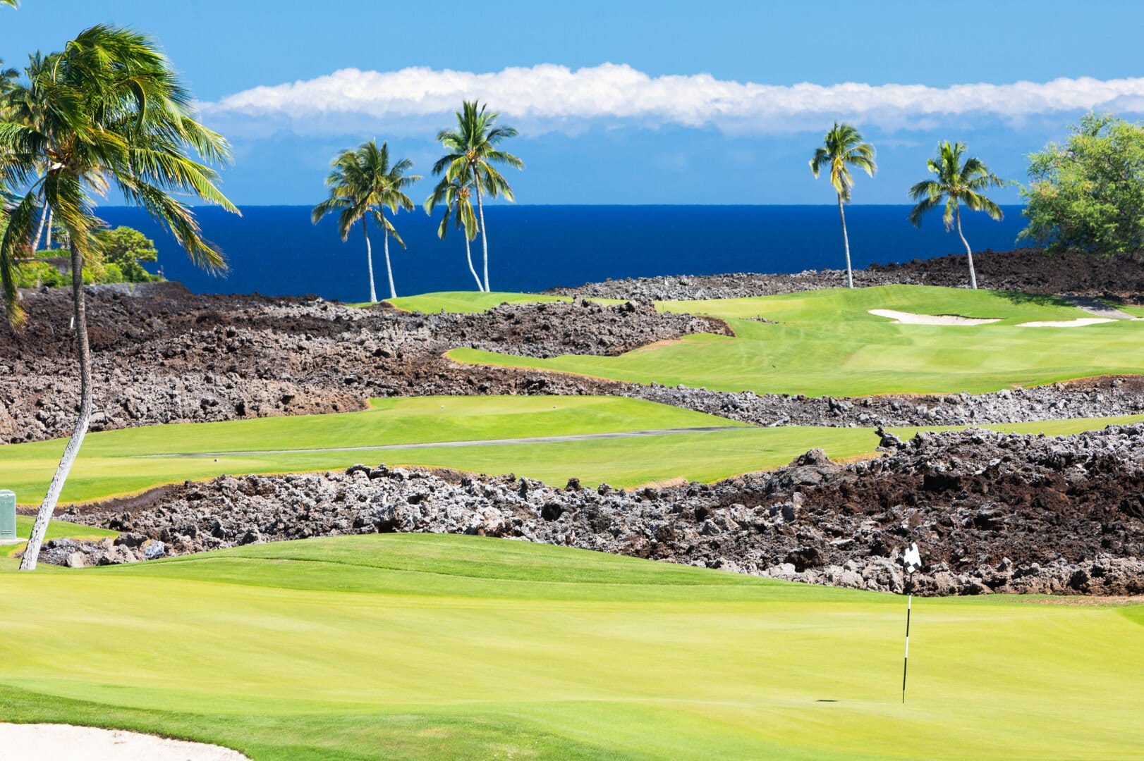 Golf course with ocean and palm trees.