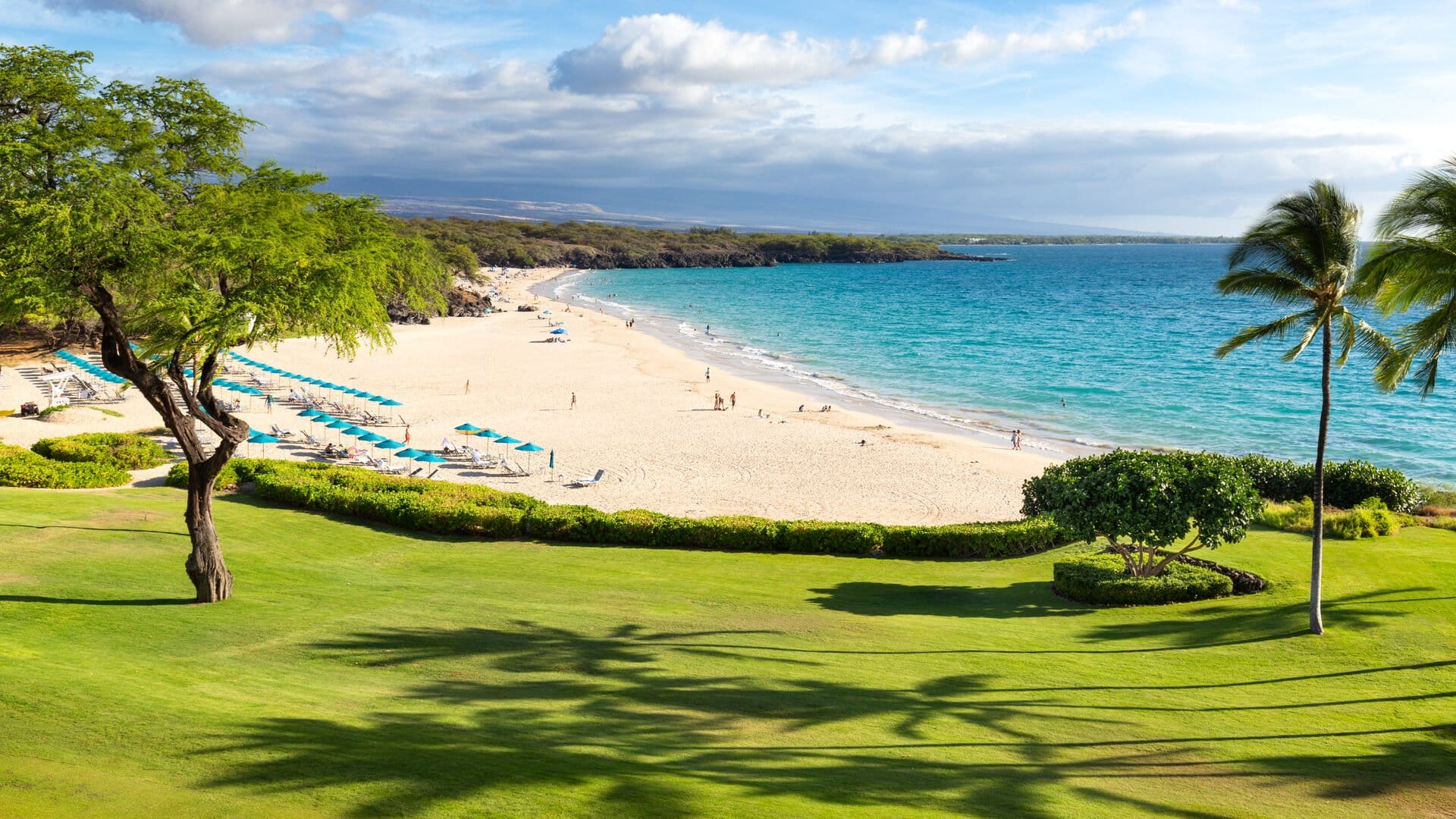 Sandy beach with blue umbrellas.