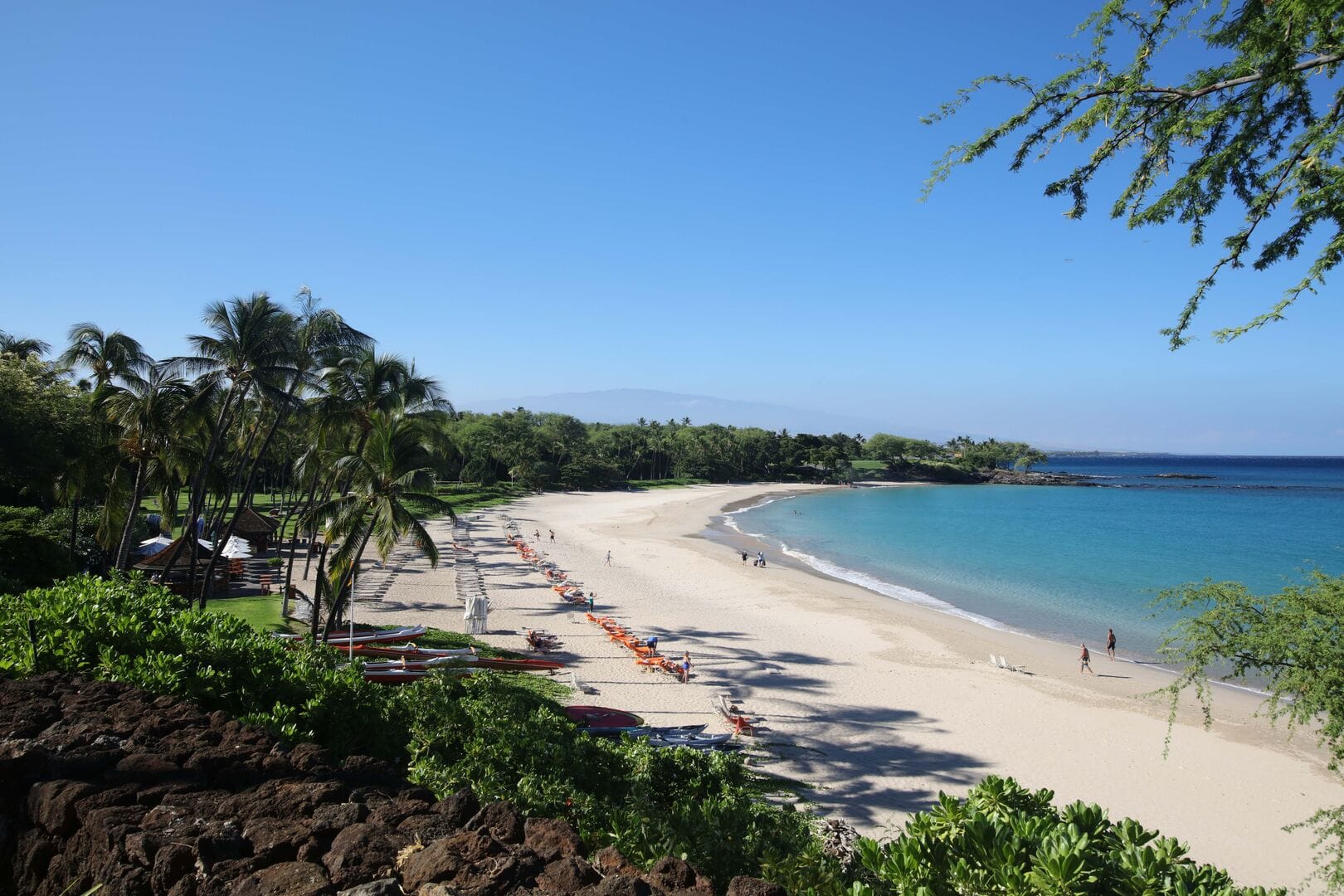 Tropical beach with palms and ocean.