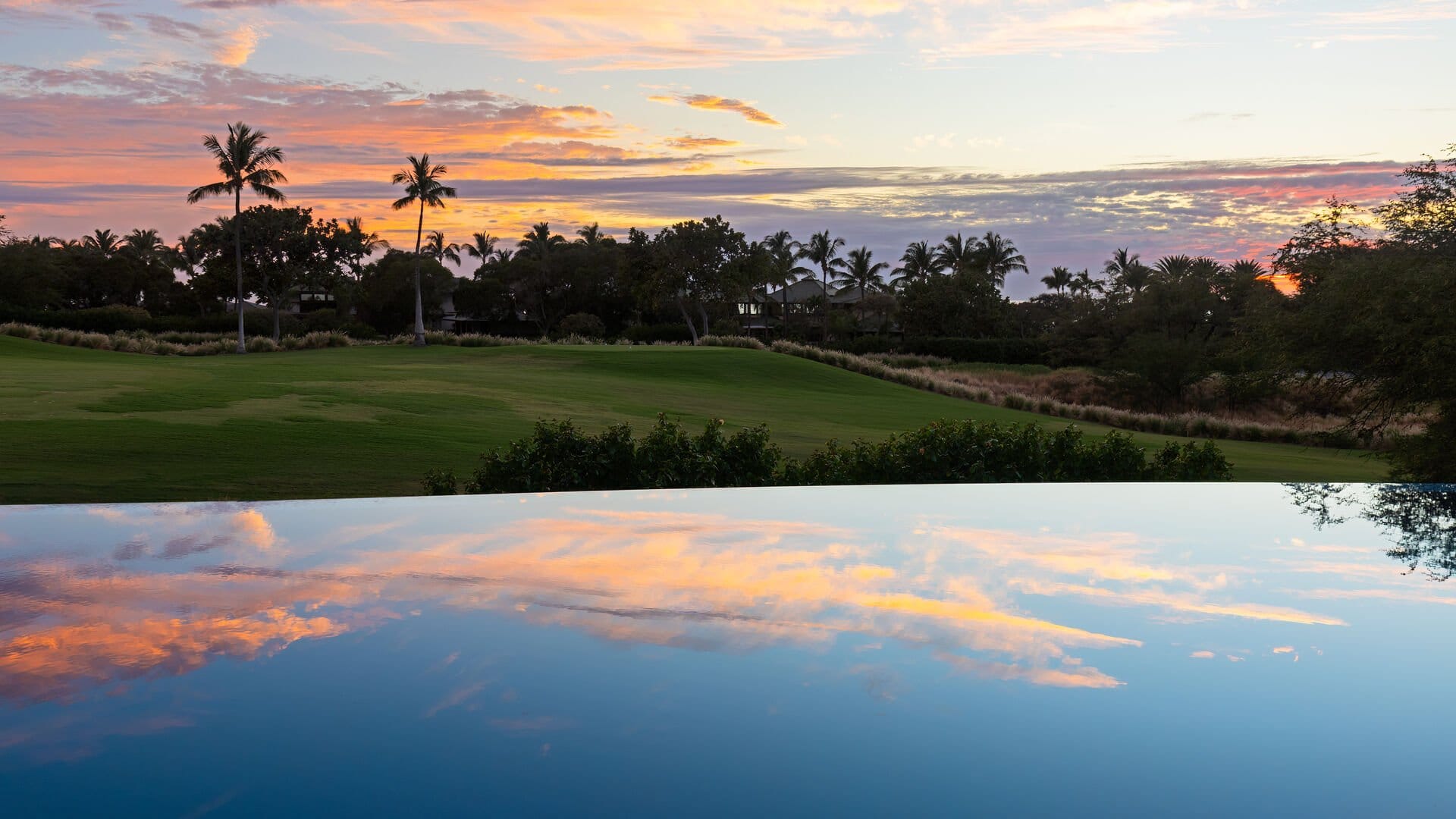 Sunset over grassy field, reflections