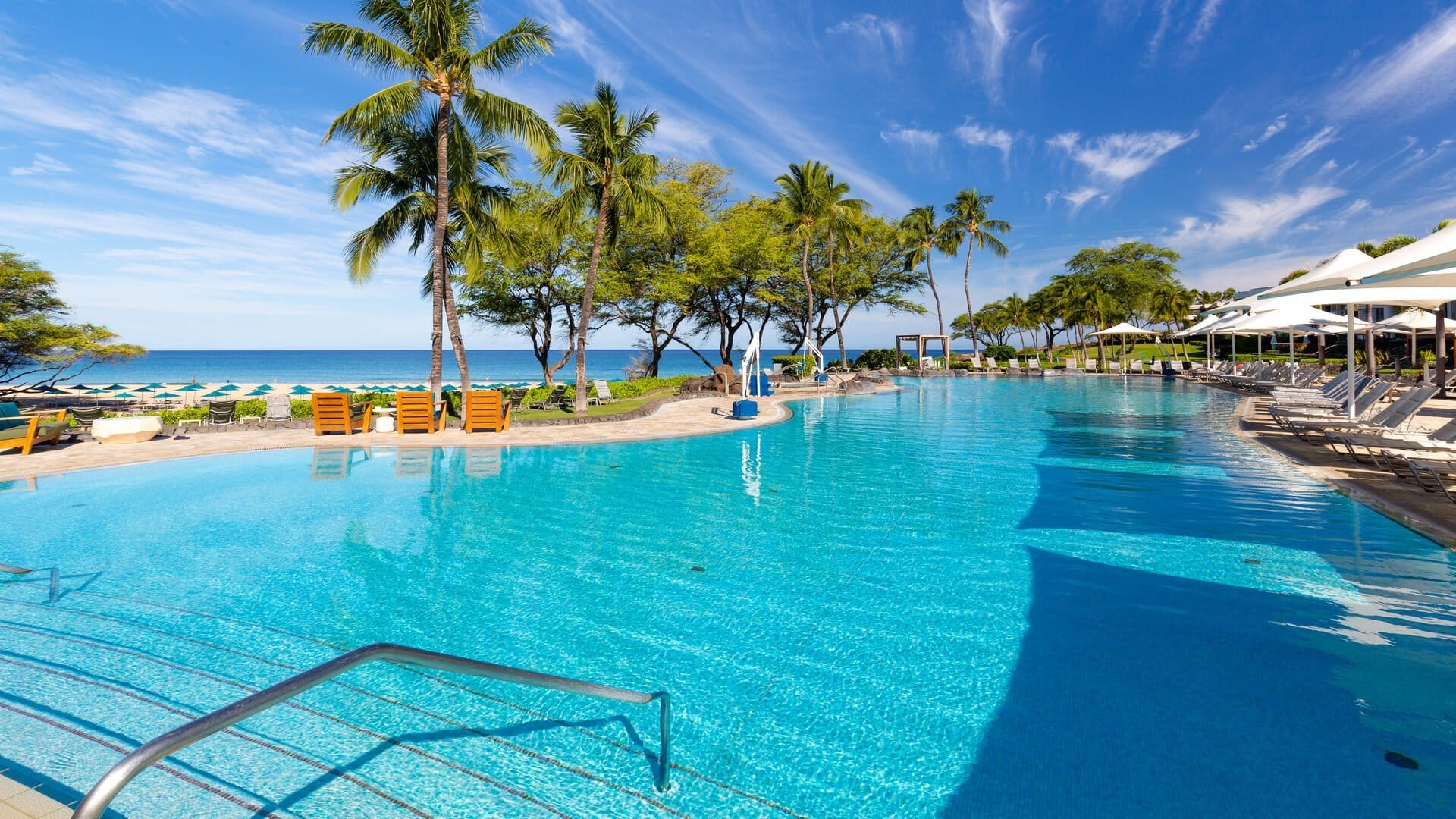 Poolside view with palm trees.