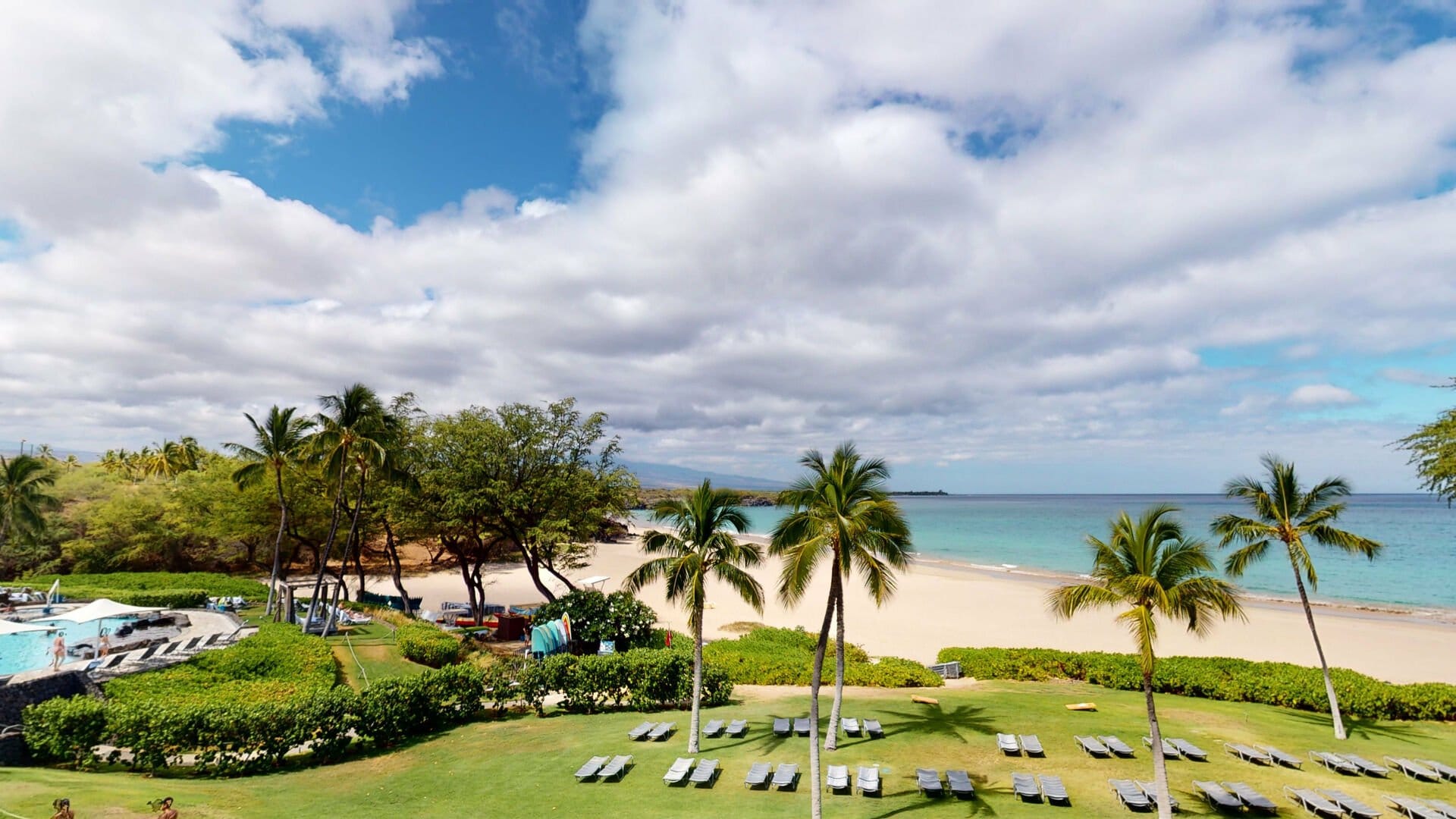 Tropical beach with palm trees