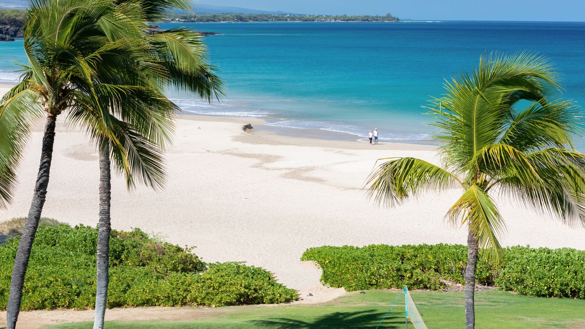 Tropical beach with palm trees.