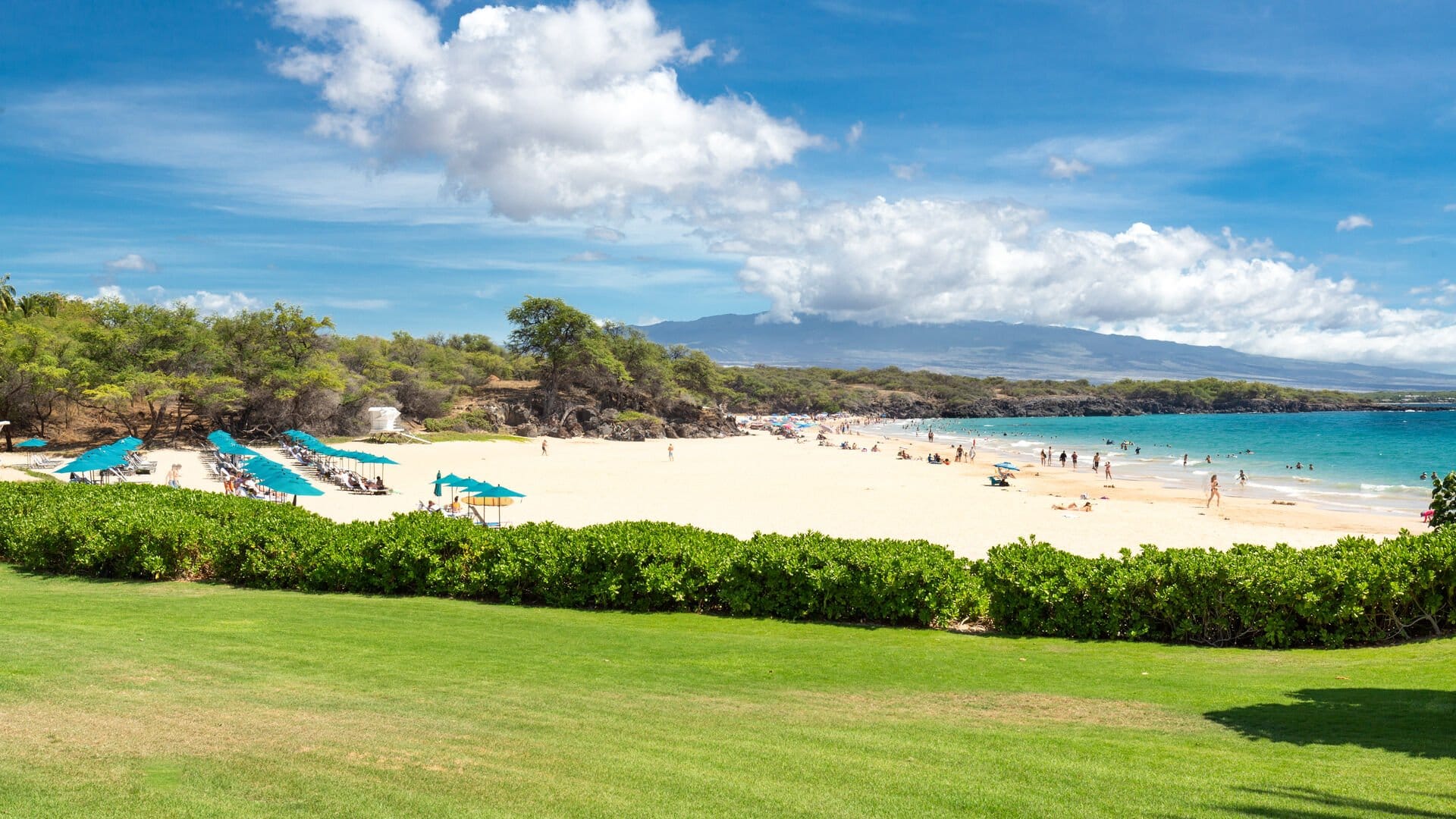 Sunny beach with umbrellas and ocean.