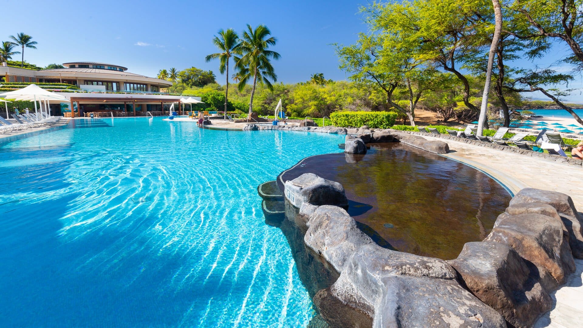 Resort pool with palm trees.