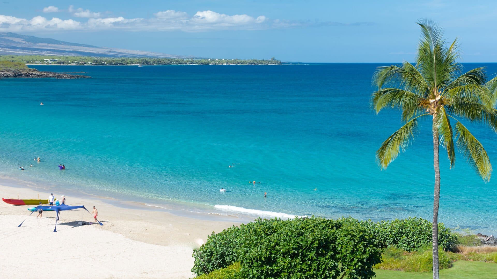 Beach with turquoise waters, palm tree.