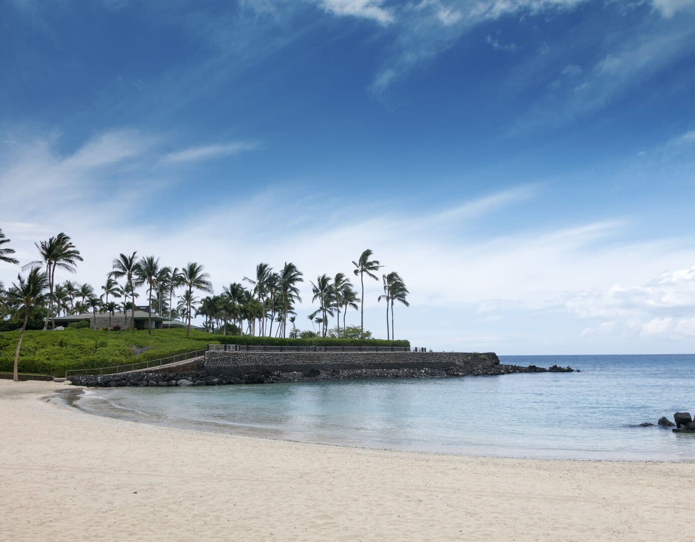 Sandy beach with palm trees.