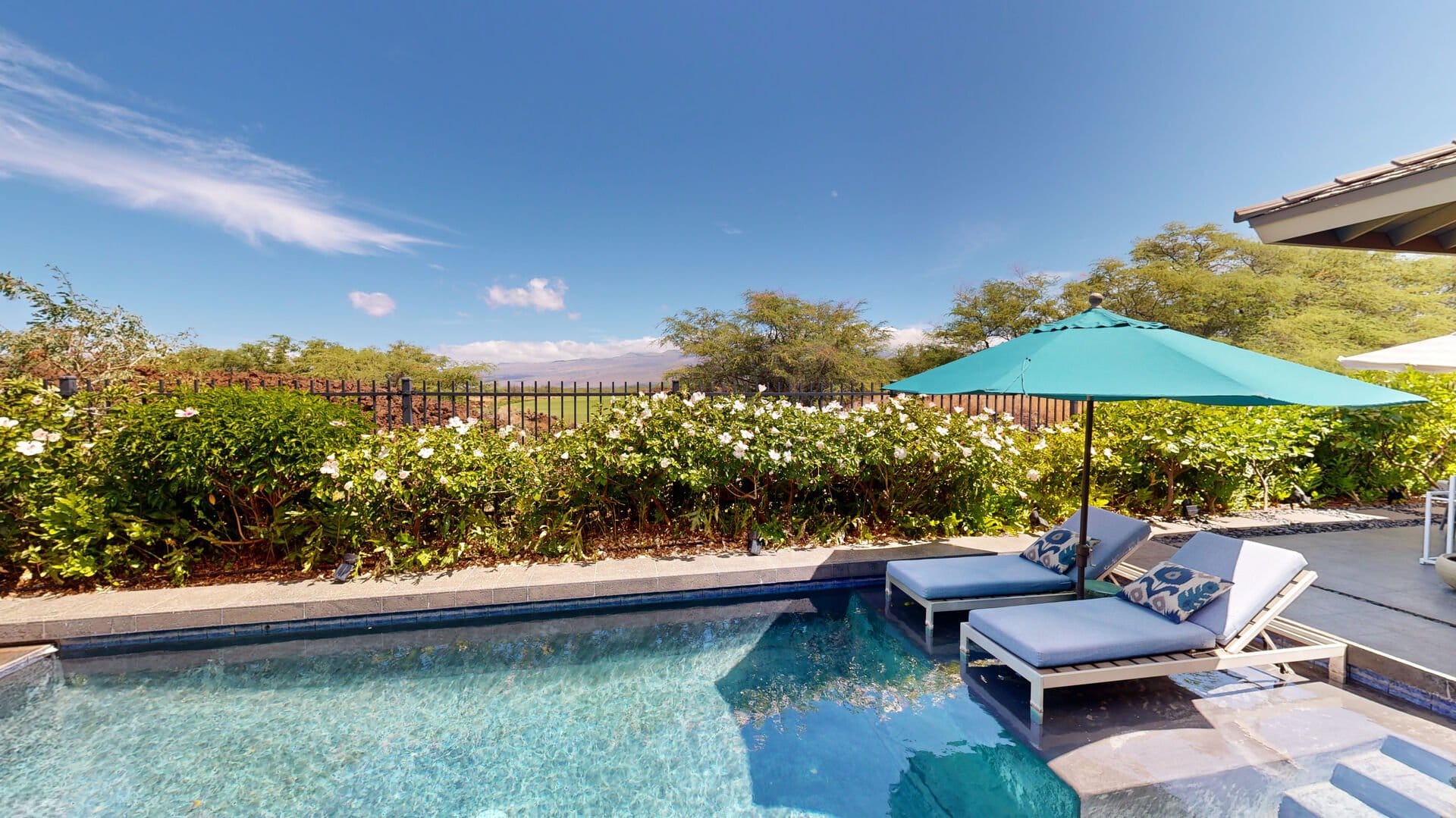 Poolside loungers with umbrella.