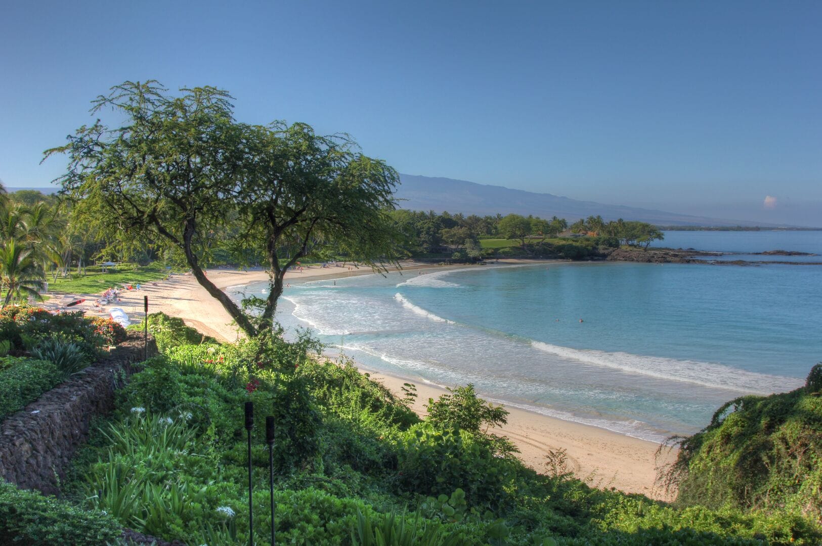 Tropical beach with lush greenery.