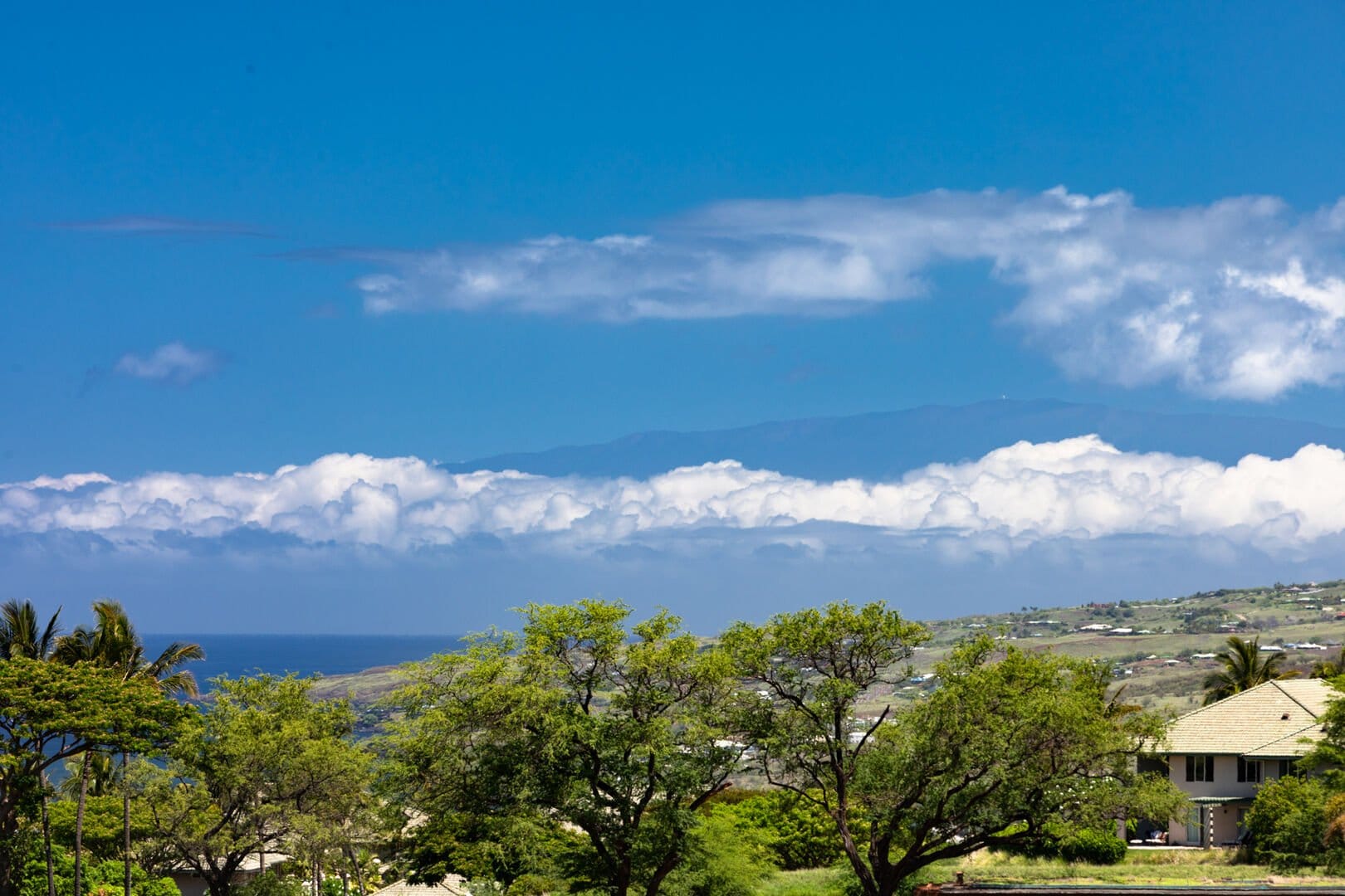 Scenic view of trees and clouds.