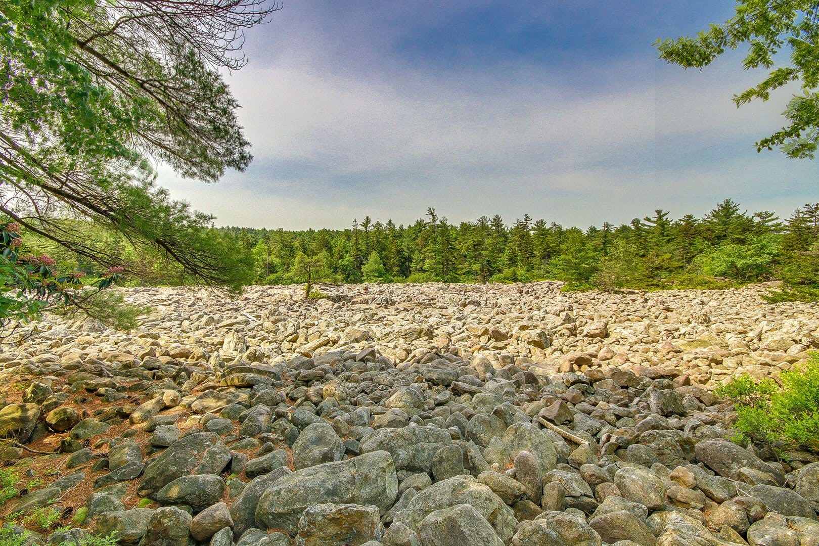 Rocky field with surrounding trees.