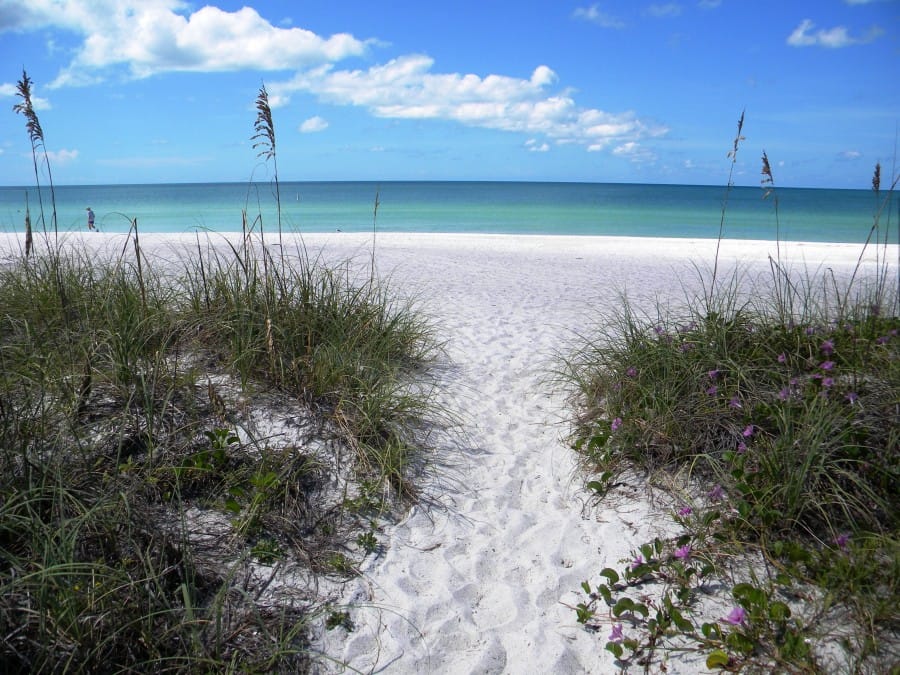 Pathway through dunes to beach.