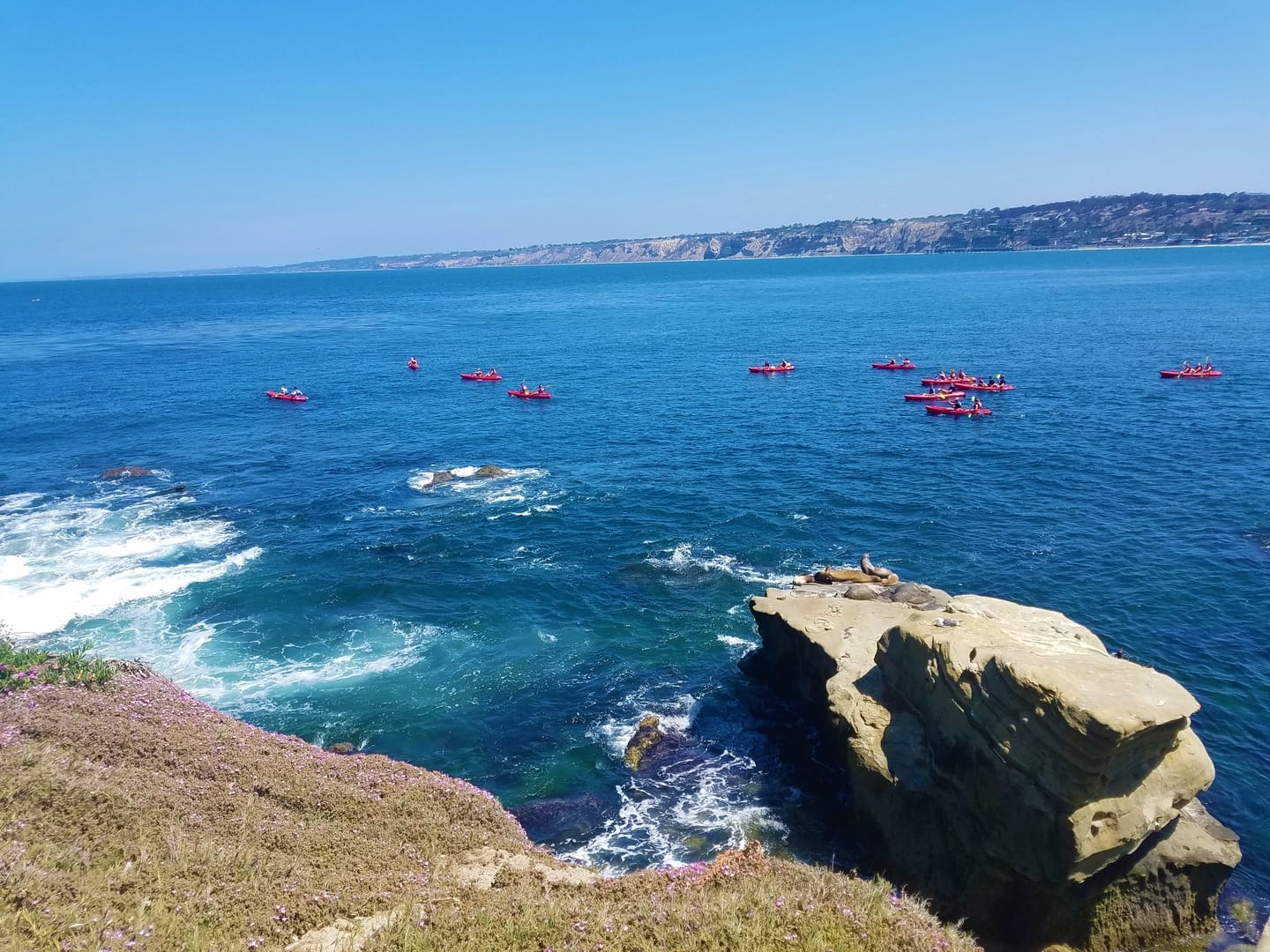 Kayaks on ocean near rocky shore.