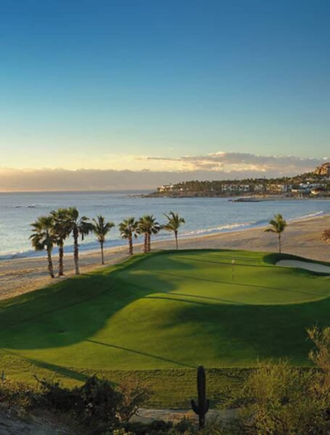 Beachside golf course with palm trees.