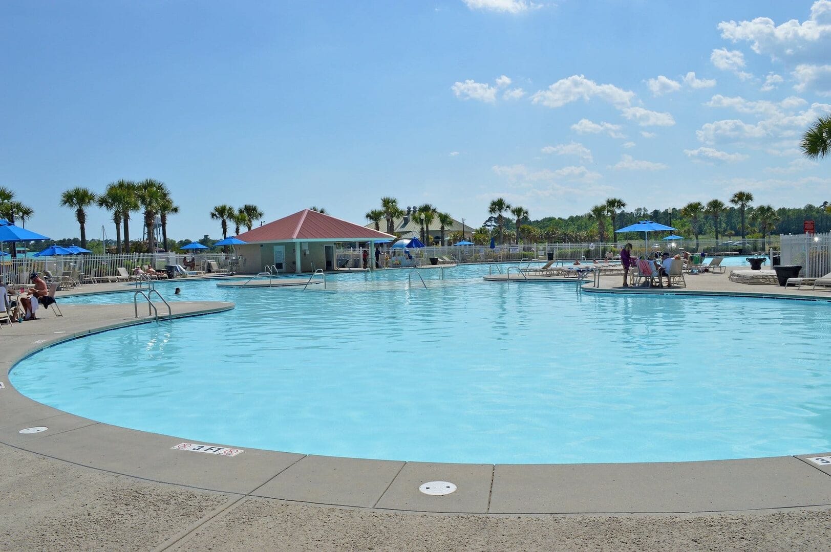 Outdoor pool with palm trees.