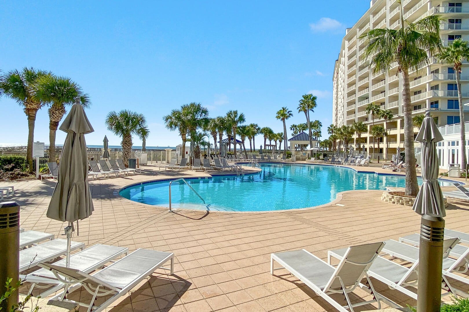 Resort pool with palm trees.