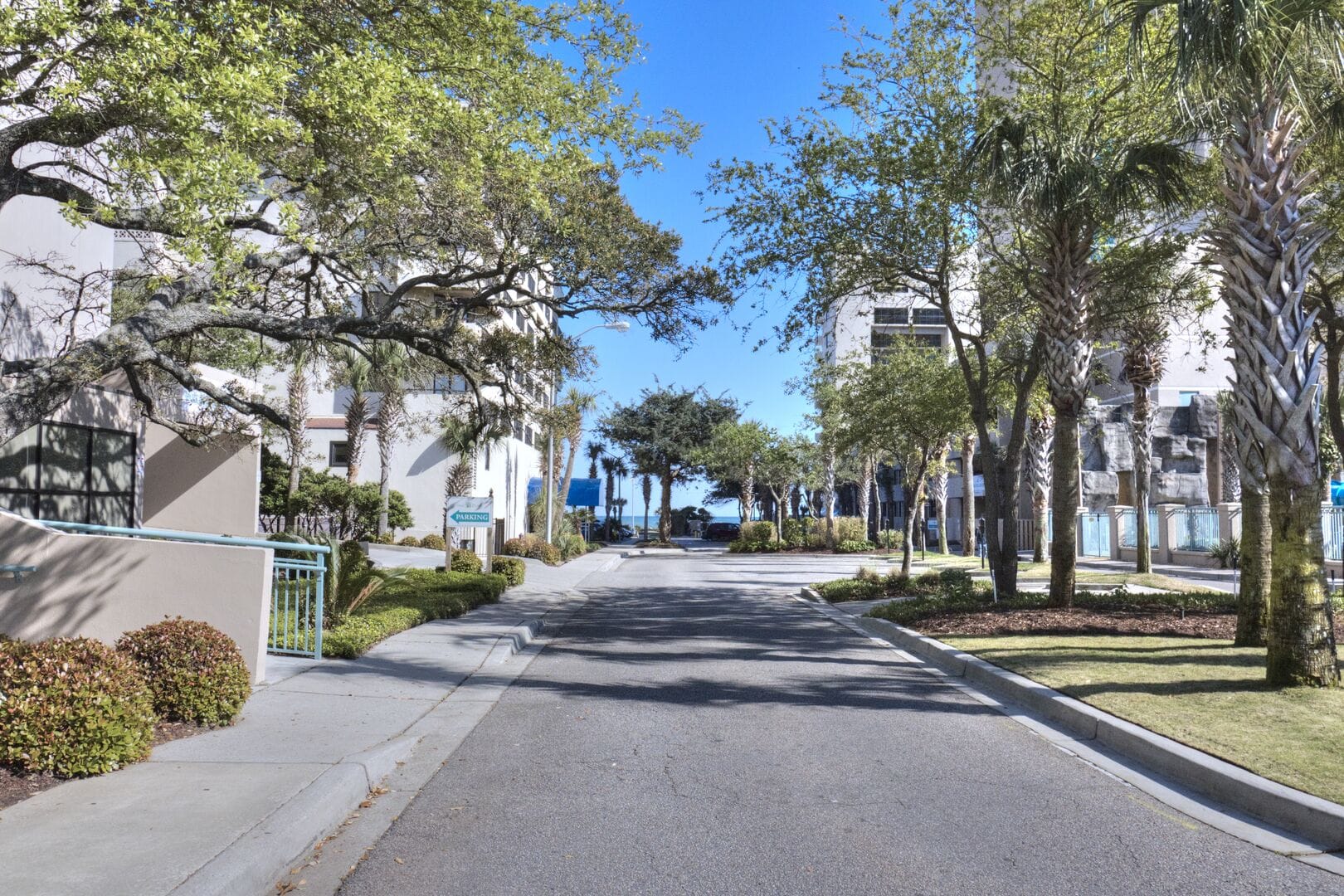 Street with trees and buildings.