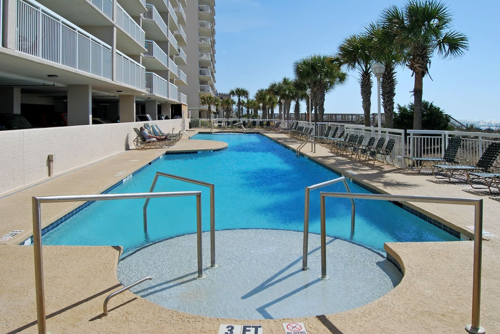 Outdoor pool with palm trees.