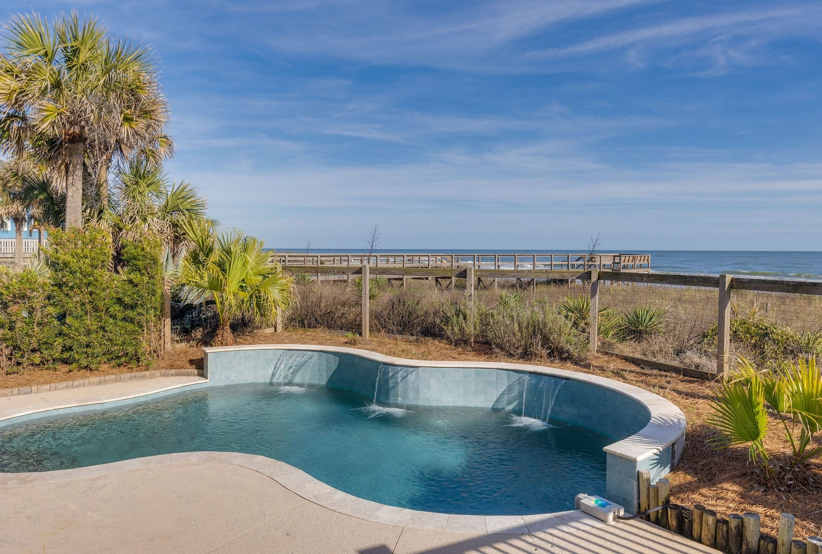 Pool with ocean view, palms.