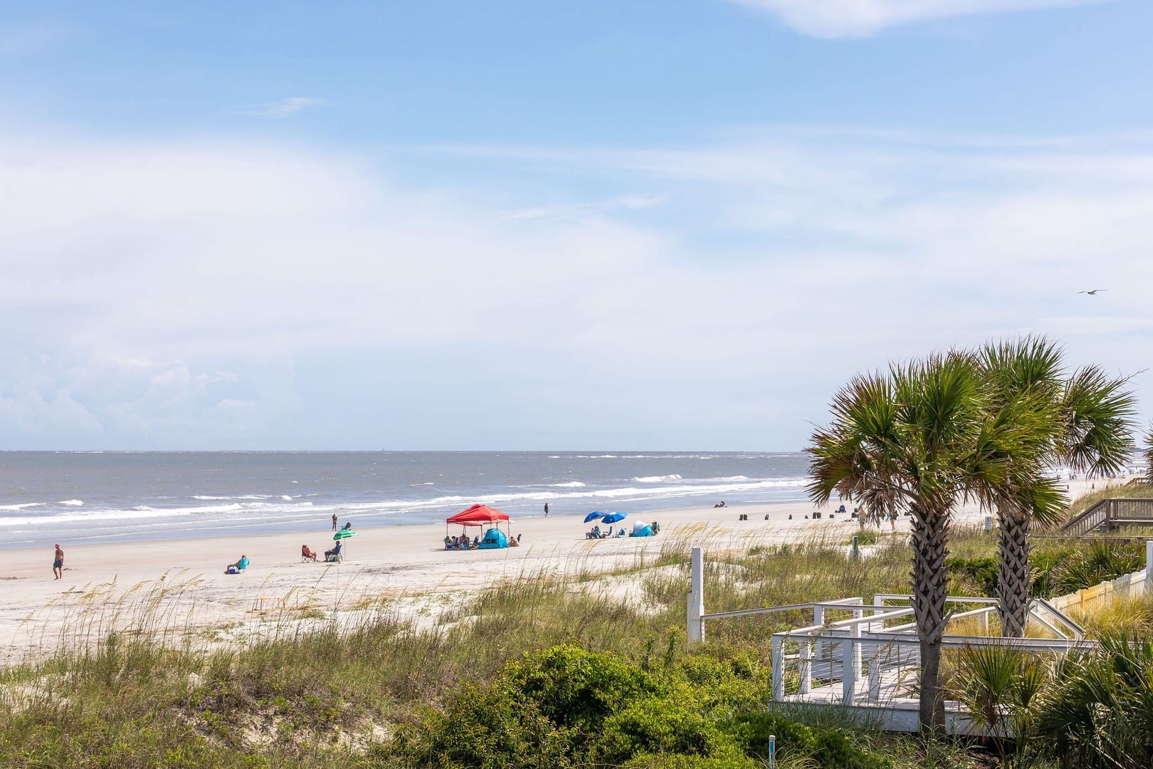 Beach scene with umbrellas and palm.