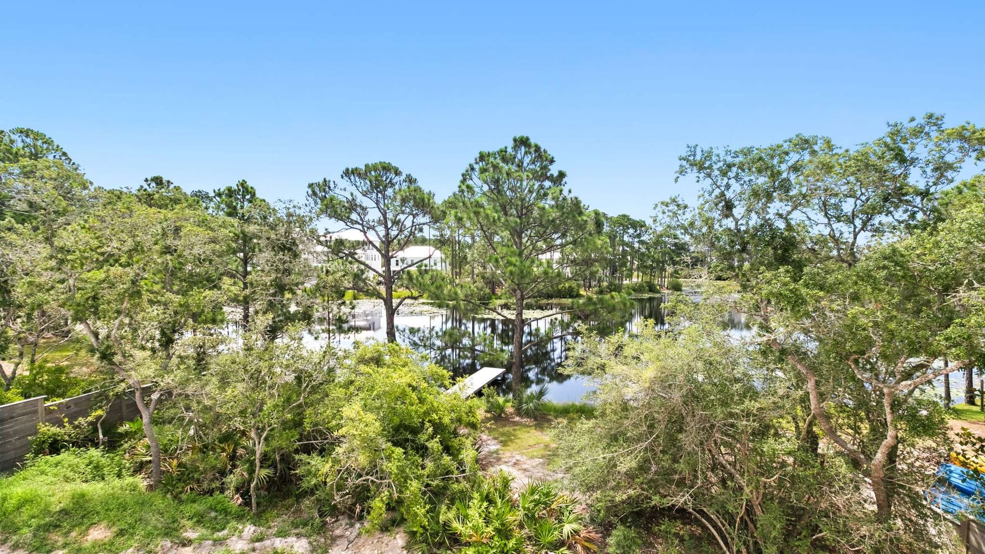 Lush greenery by reflective water.