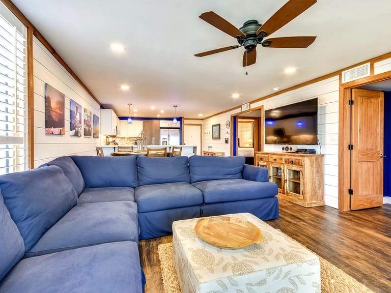 Cozy living room with blue sofa.