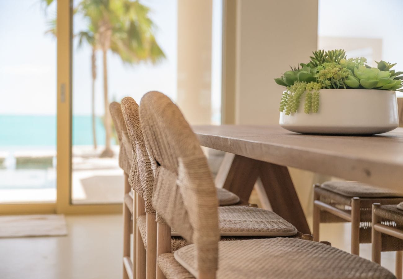 Dining area with potted succulents.